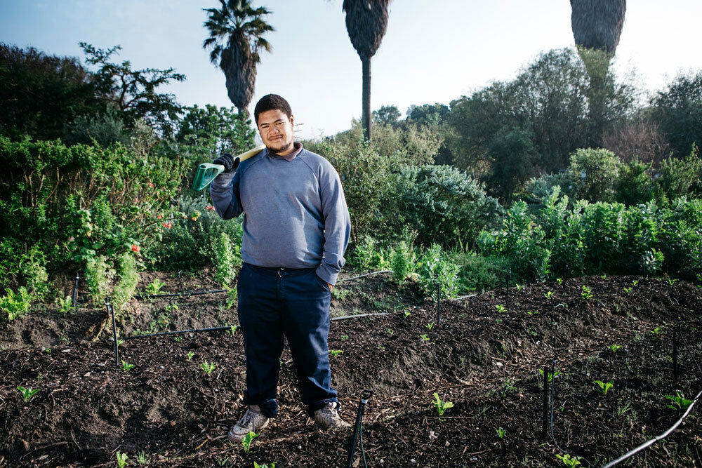 Internships for life: Living Soils addressing youth unemployment and food security