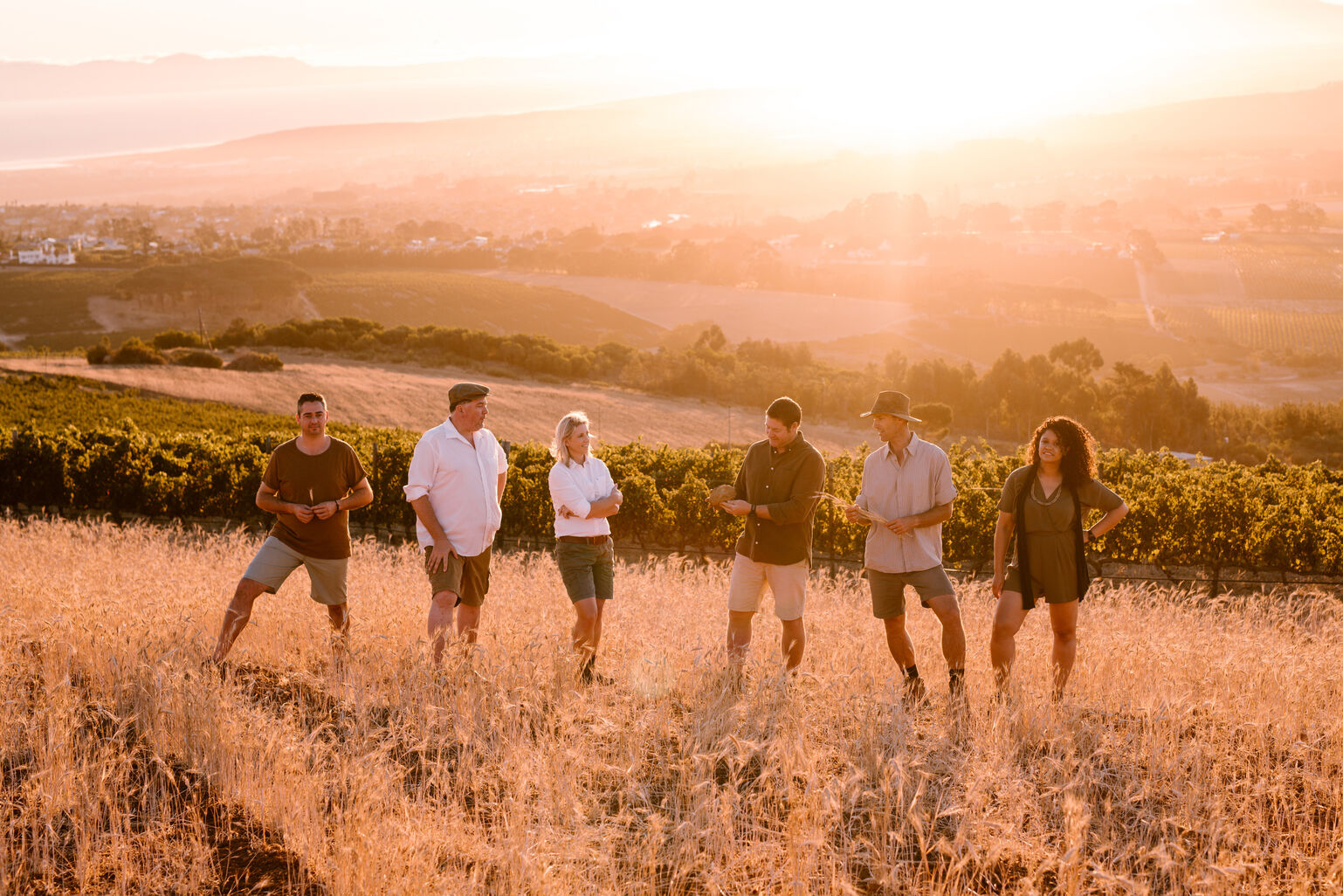 spier wine making team sunset