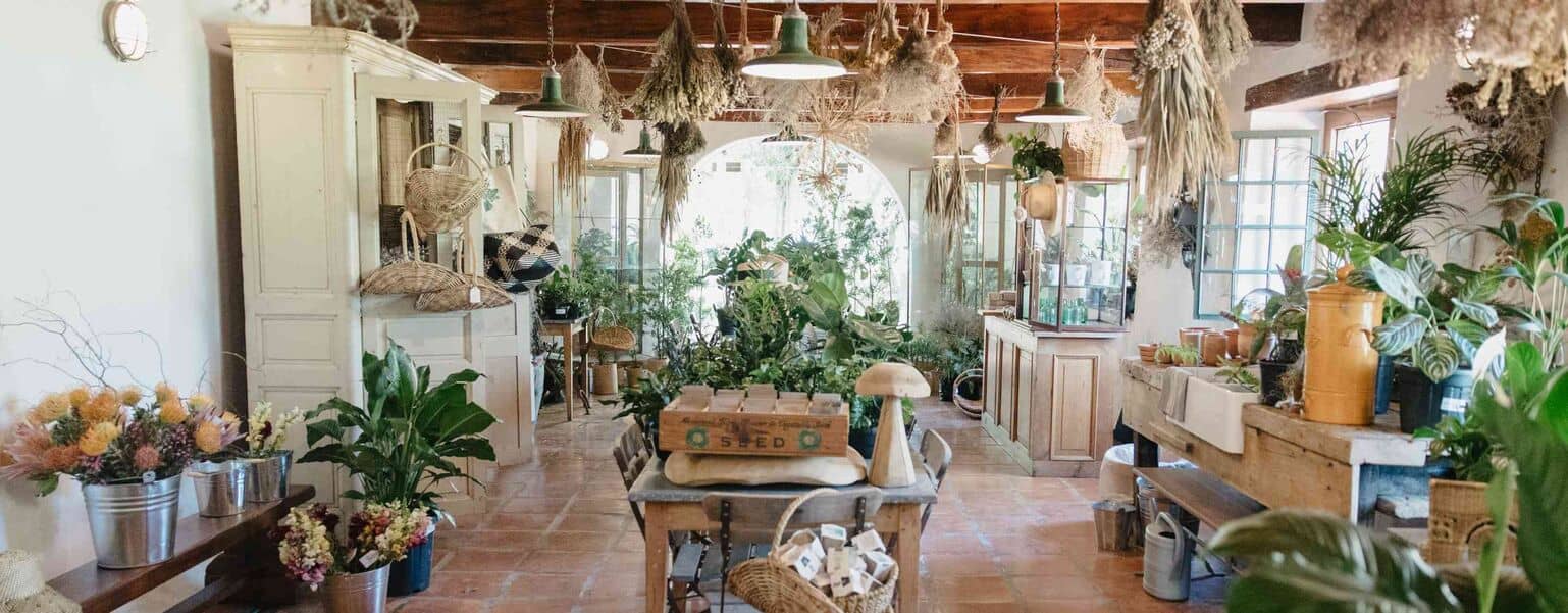 The Soil Room – A Celebration of Earth-born Artistry