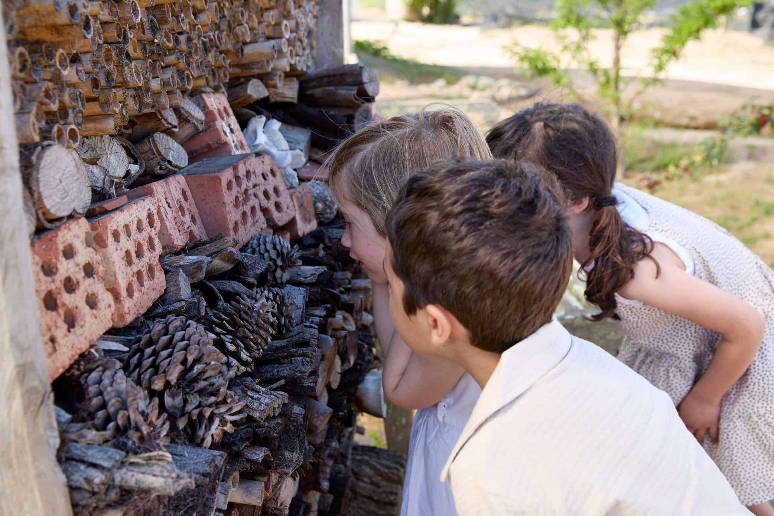 Spier-Food-Garden-Kids