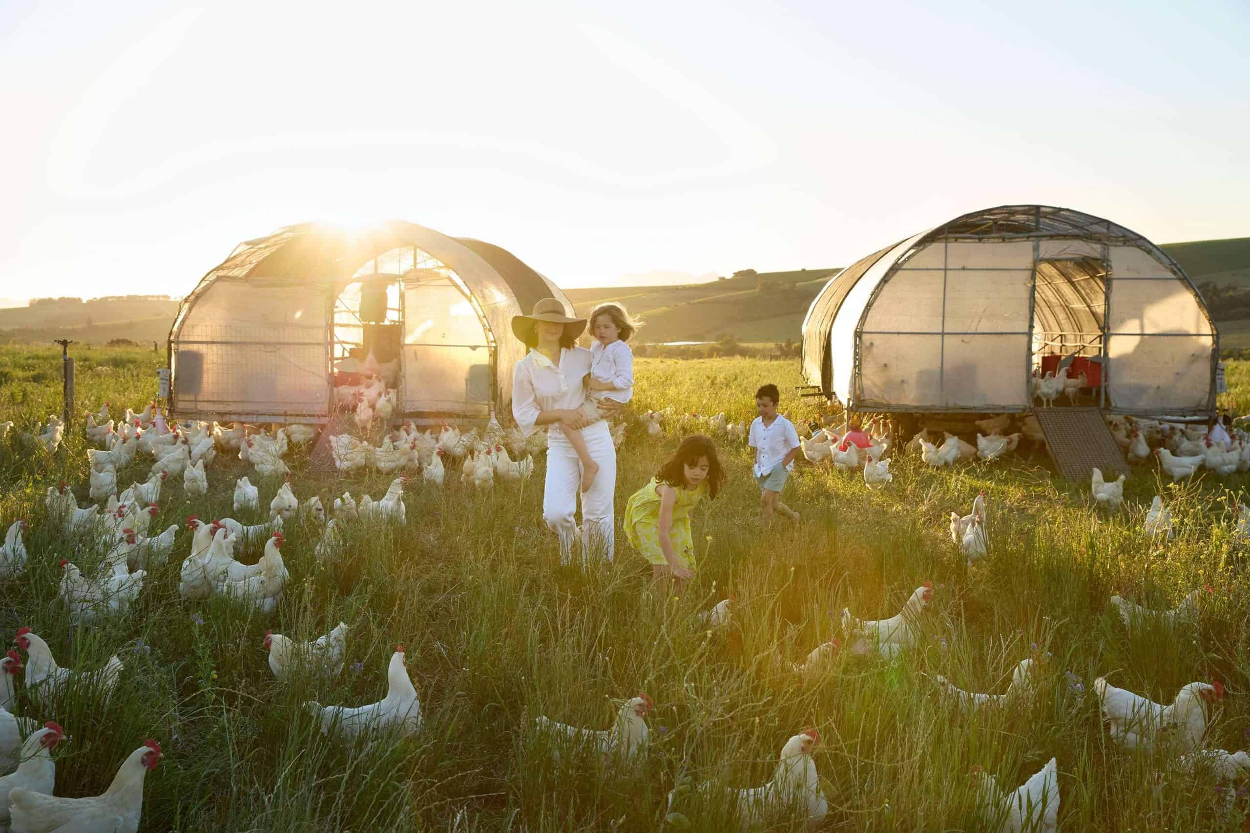 Spier-Hotel-Family