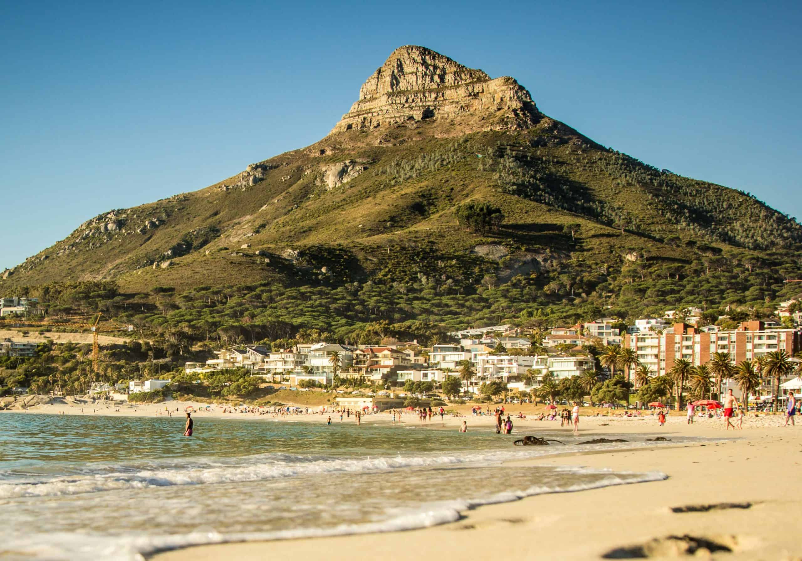 Lions head