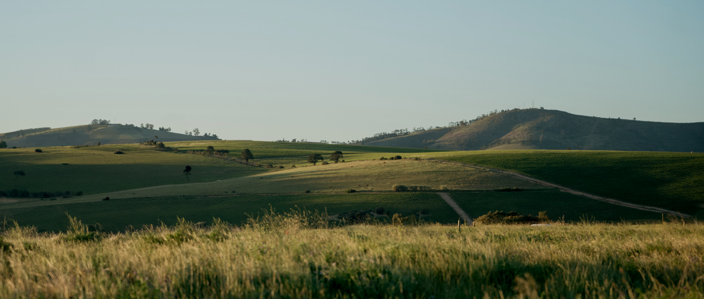 Lynedoch Valley