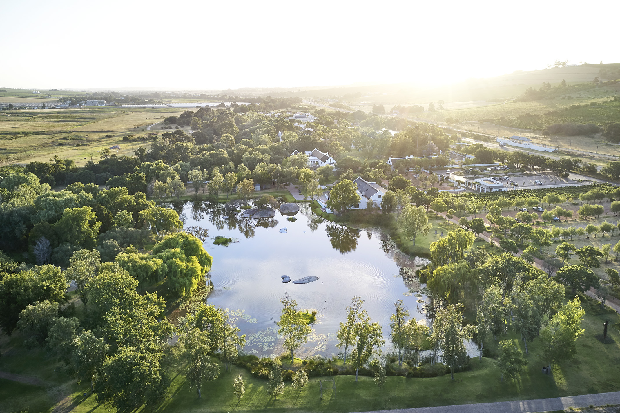 Spier-Wine-Tasting-Dam-Aerial-113_10aug_LR-EY