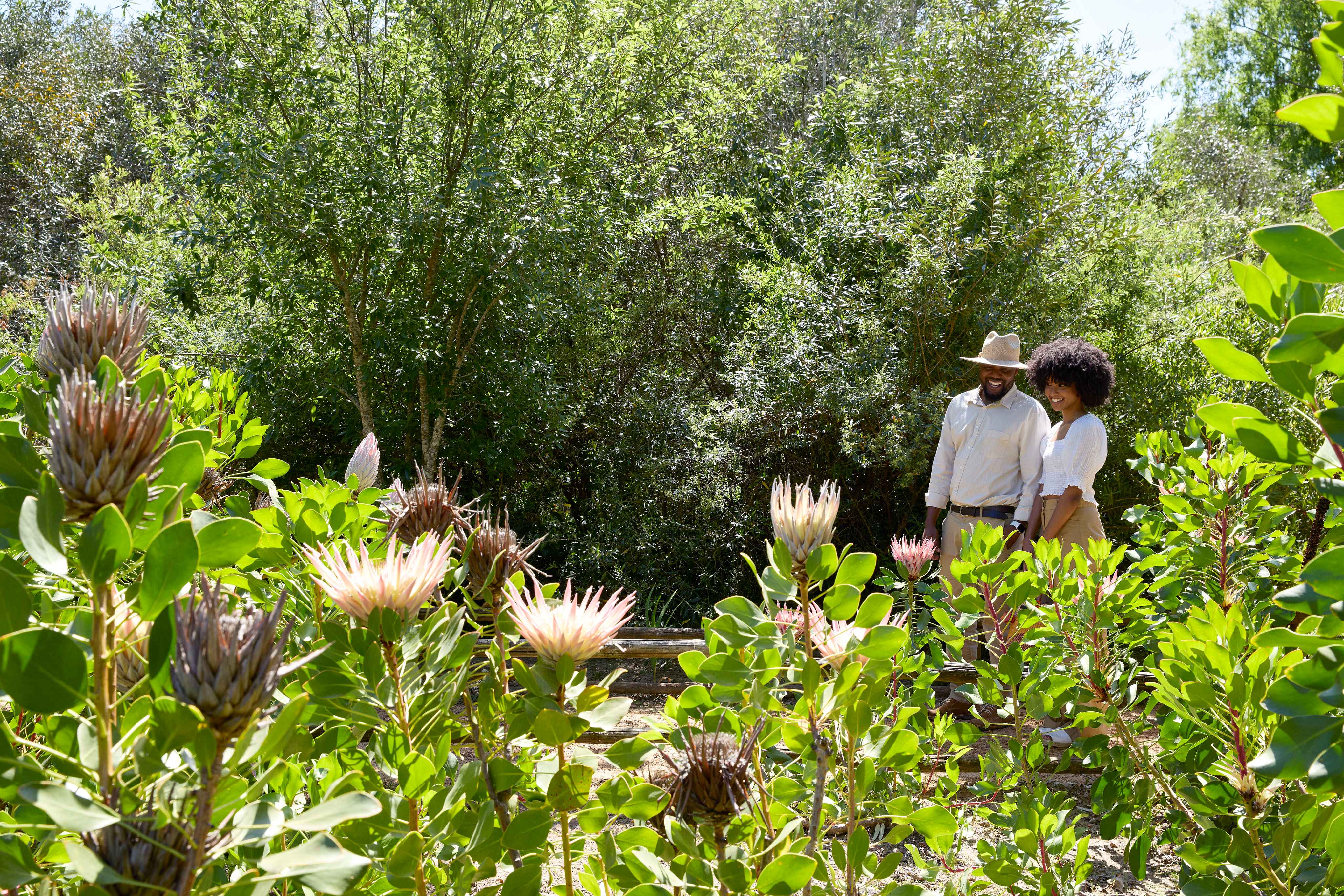 Spier-Riverwalk-14_EY (1)