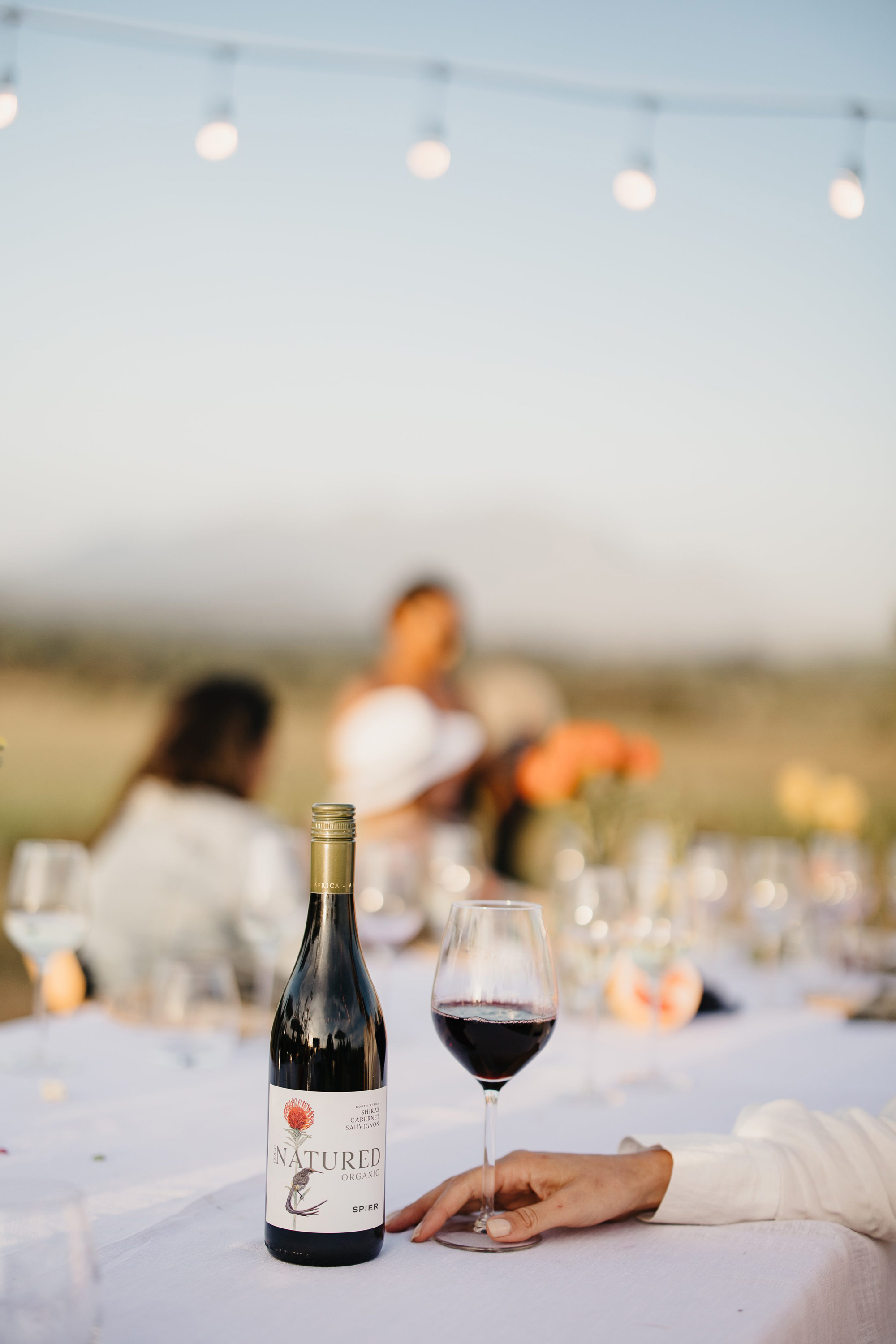 Spier-Good-Natured-Cabernet-Sauvignon_04-lr