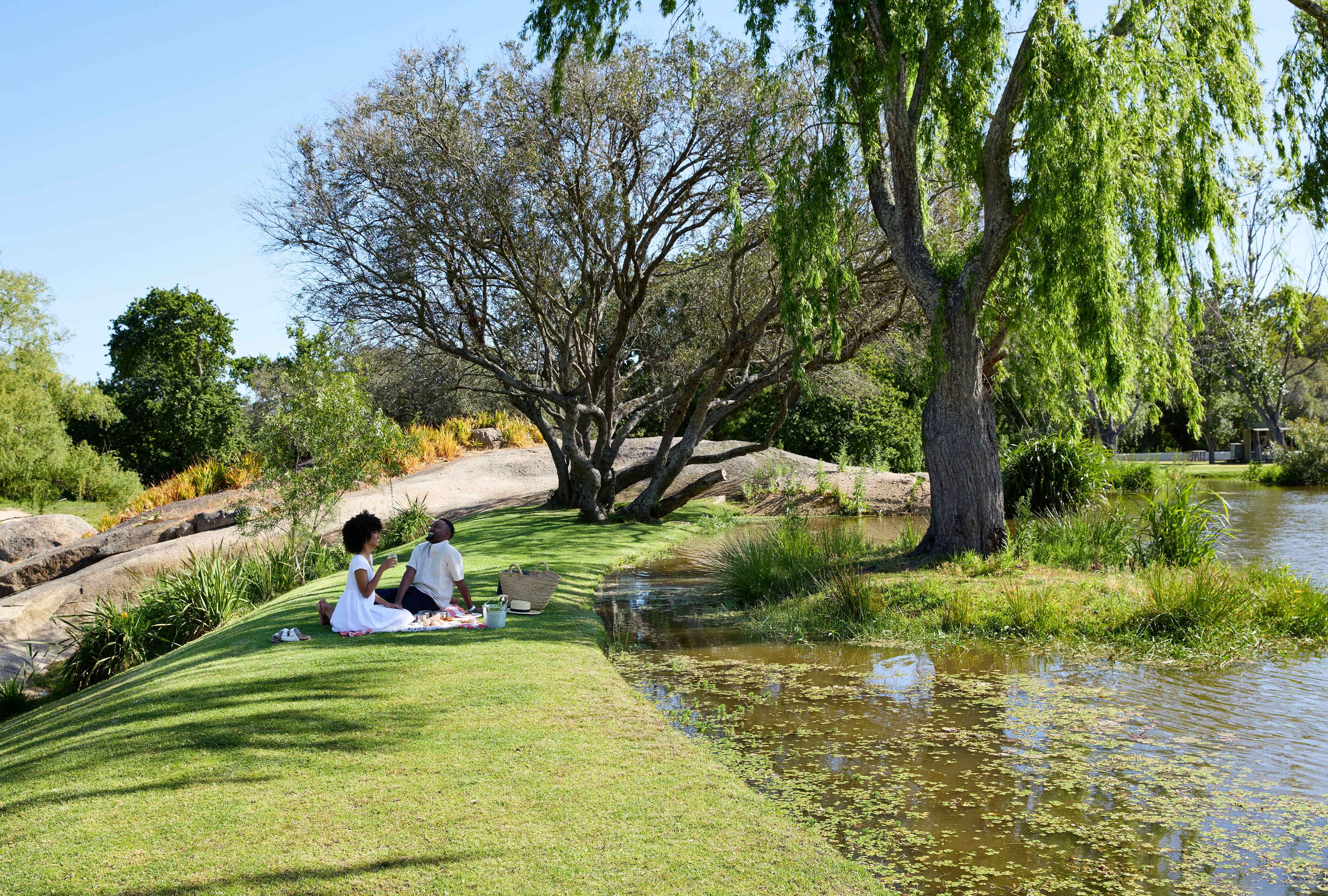 Explore the Cape from Spier