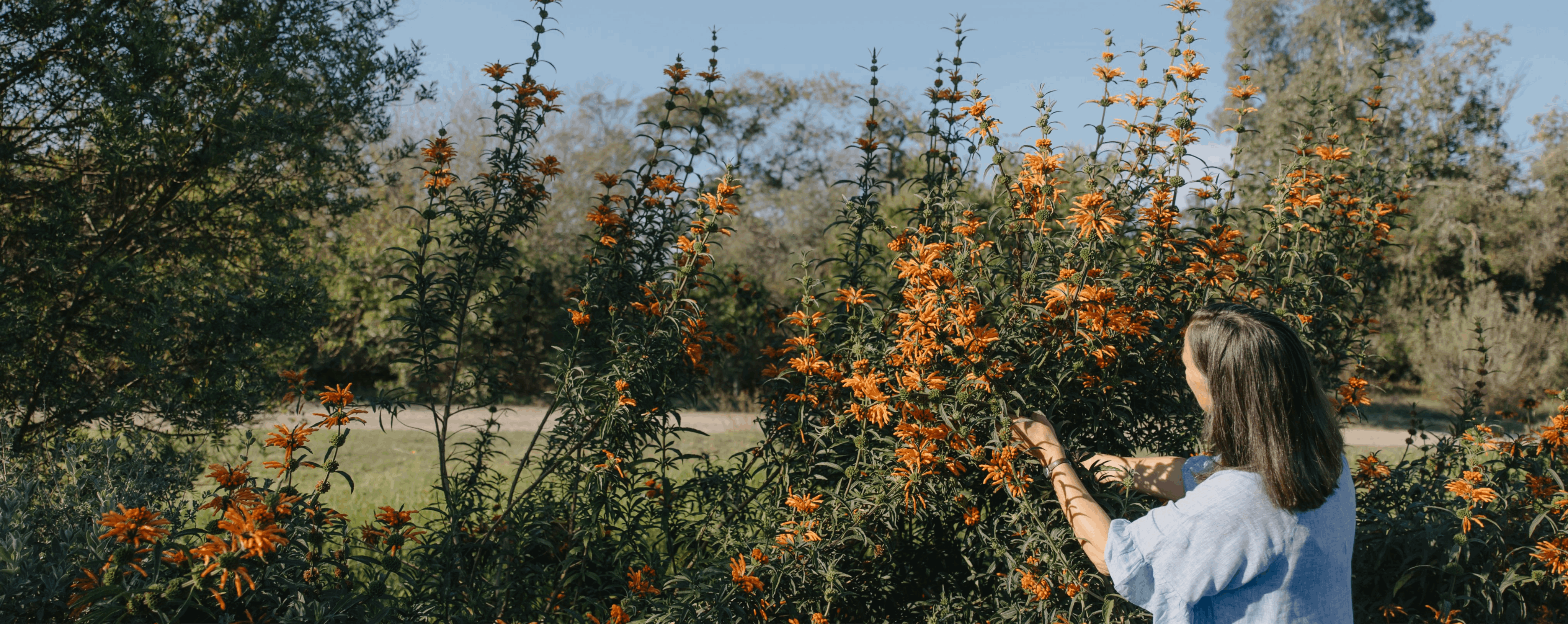 Meet Dr Caren Hauptfleisch – the phytotherapist behind our farm-to-spa philosophy