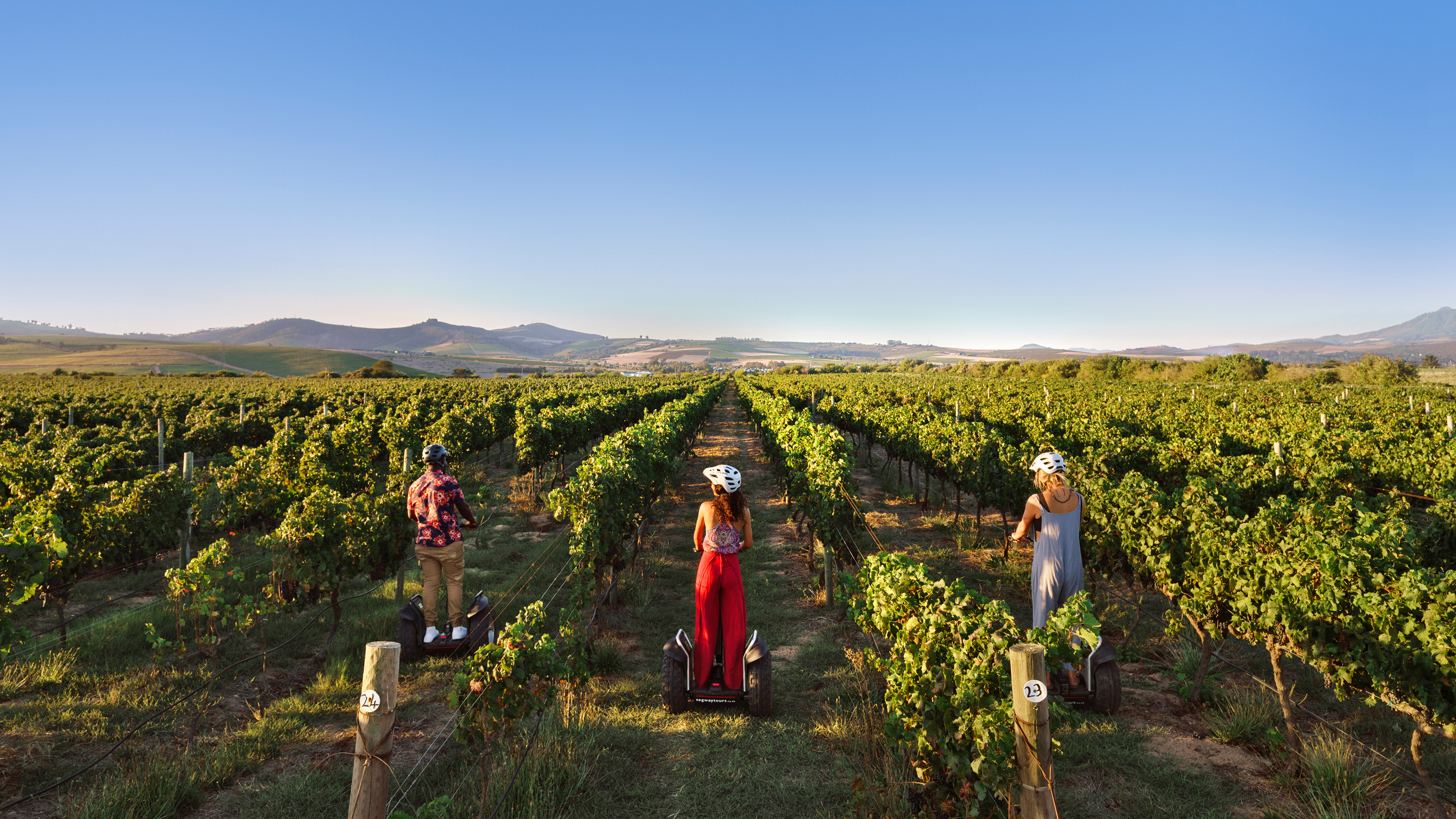 Spier-Visit-Segway-Vineyard-Tours-3-lr