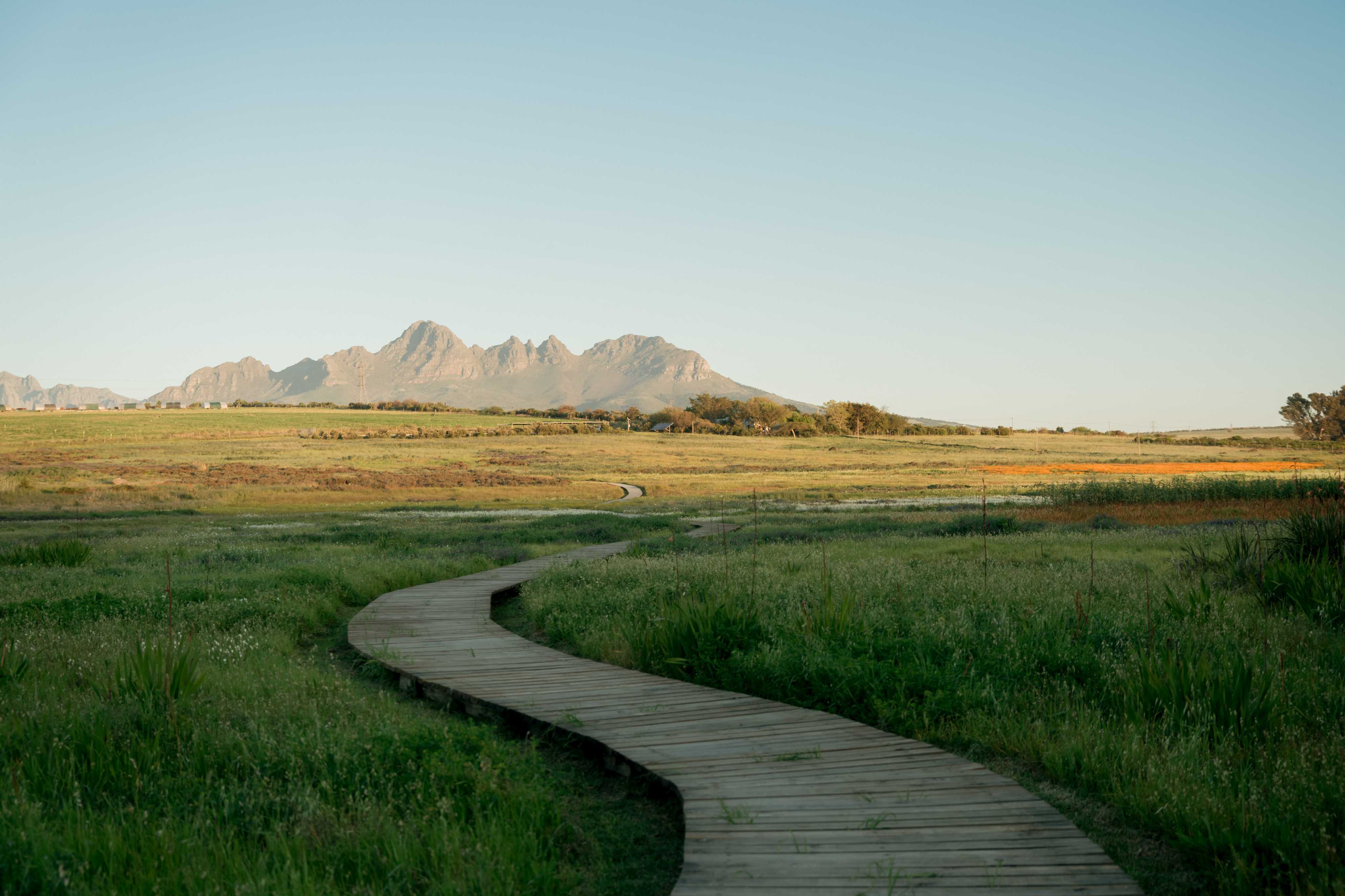 The Wilds – September 2025-4 (1)